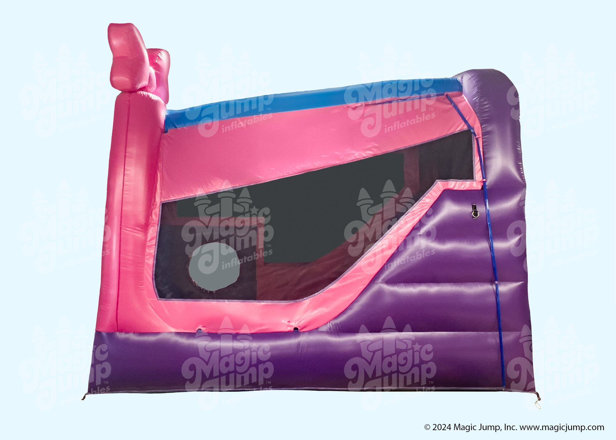 Minnie Mouse C5 Combo Wet or Dry