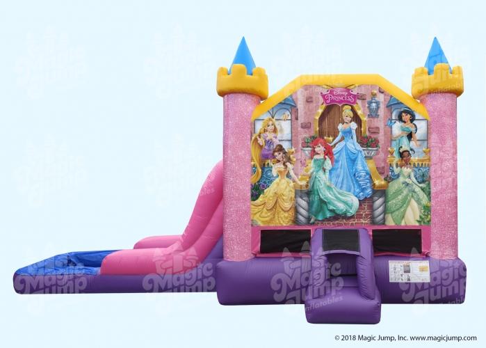 Disney Princess EZ Combo Wet or Dry