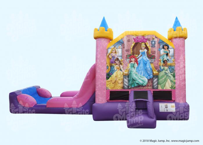 Disney Princess EZ Combo Wet or Dry