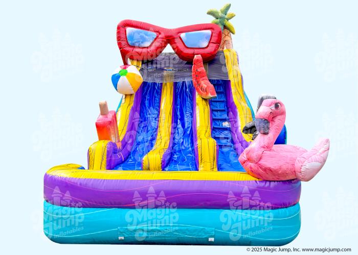 17 Pool Party Dual Slide
