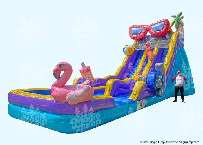 20 Pool Party Dual Slide