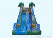 20 Tropical Wave Slide