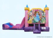 Disney Princess EZ Combo Wet or Dry