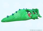 Crocodile Slide N Splash
