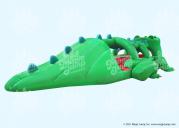 Crocodile Slide N Splash