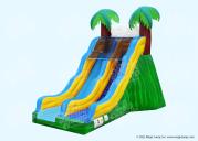 17 Tropical Wave Slide