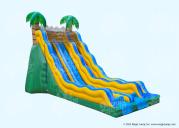 20 Tropical Wave Dual Slide