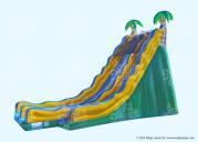 28 Tropical Wave Dual Slide