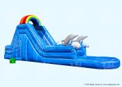 Dolphin Water Slide