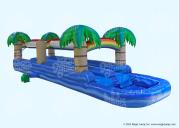 Tropical Dual Slide N Splash