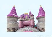 Disney Princess Castle Playground Combo