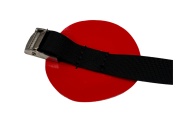 Close Up of Replacement Bounce House Blower Tube Strap with Cam Buckle