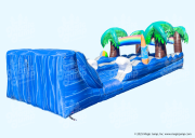Tropical Dual Slide N Splash Landing