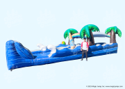 Tropical Dual Slide N Splash Landing