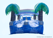 Tropical Dual Slide N Splash Landing