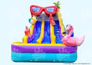 17 Pool Party Dual Slide