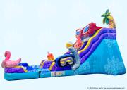 17 Pool Party Dual Slide