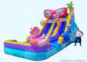 17 Pool Party Dual Slide