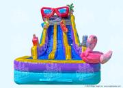 20 Pool Party Dual Slide