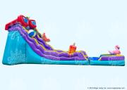 20 Pool Party Dual Slide