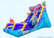 20 Pool Party Dual Slide