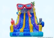 20 Pool Party Dual Slide